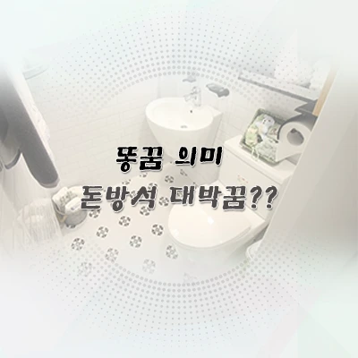 똥꿈 의미 해석