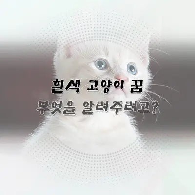 흰색 고양이 꿈